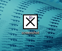 screenshot of screenshot software